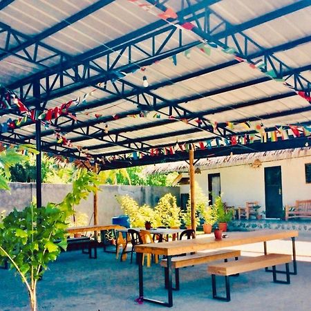The Hangover Hostel 몰볼 외부 사진