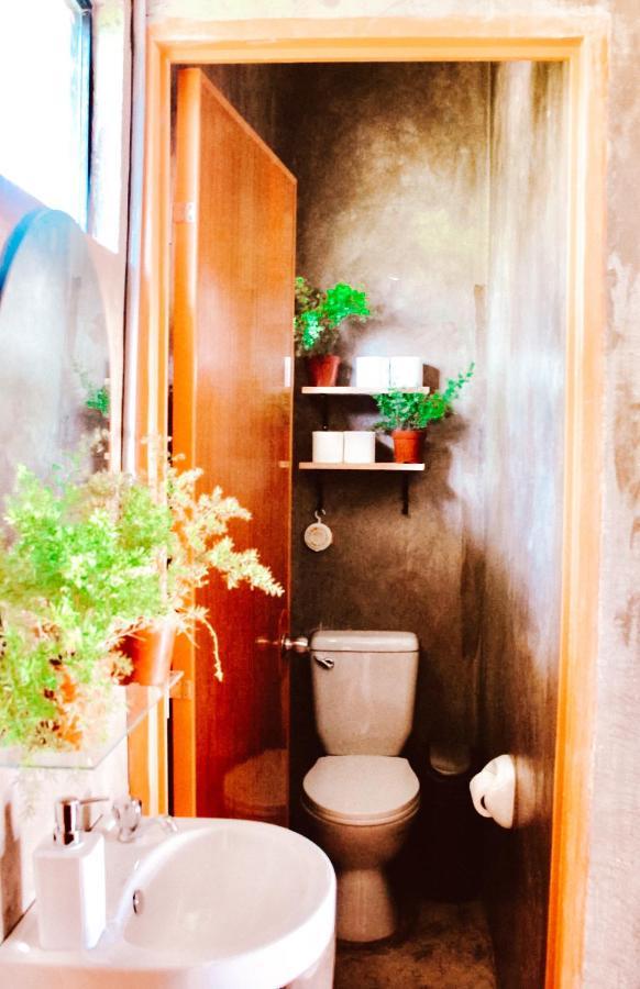 The Hangover Hostel 몰볼 외부 사진